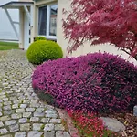 Apartment Ferienglück Am - Abc288 - Nur Feriengäste! *