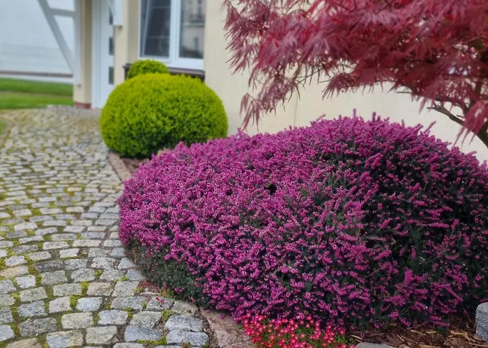 Apartamento Ferienglueck Am - Abc288 - Nur Feriengaeste! *